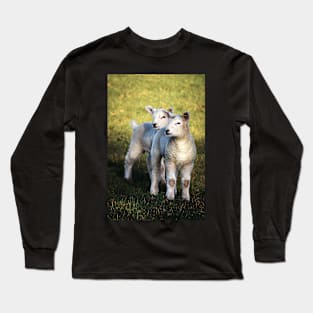 Hey, It's Spring! Long Sleeve T-Shirt